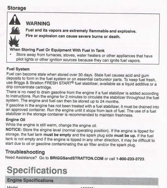 Briggs n Stratton storage.jpg