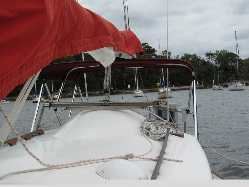 xmas 2010 010 (800x600).jpg